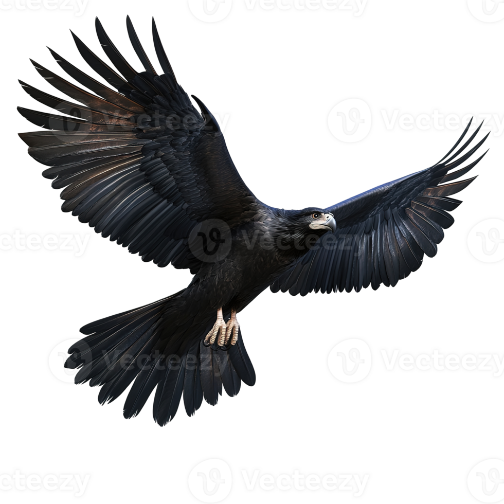 A Black Eagle Soaring Through The Dark Sky Isolated on Transparent Background png