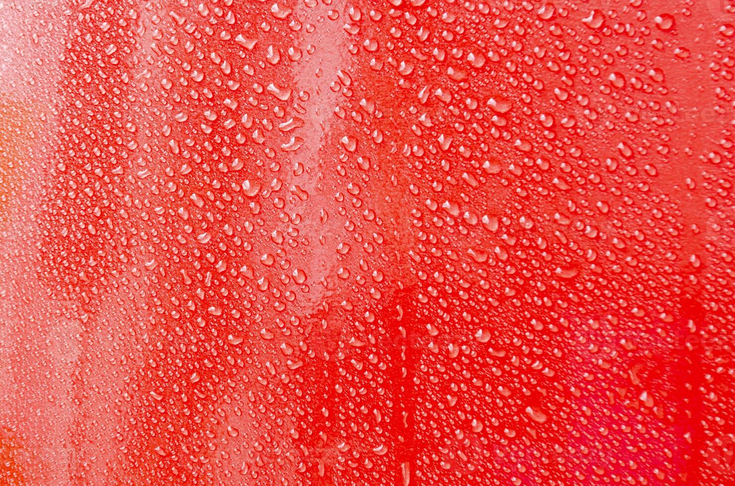 Rain water droplets with dark red color background suitable for wallpaper photo
