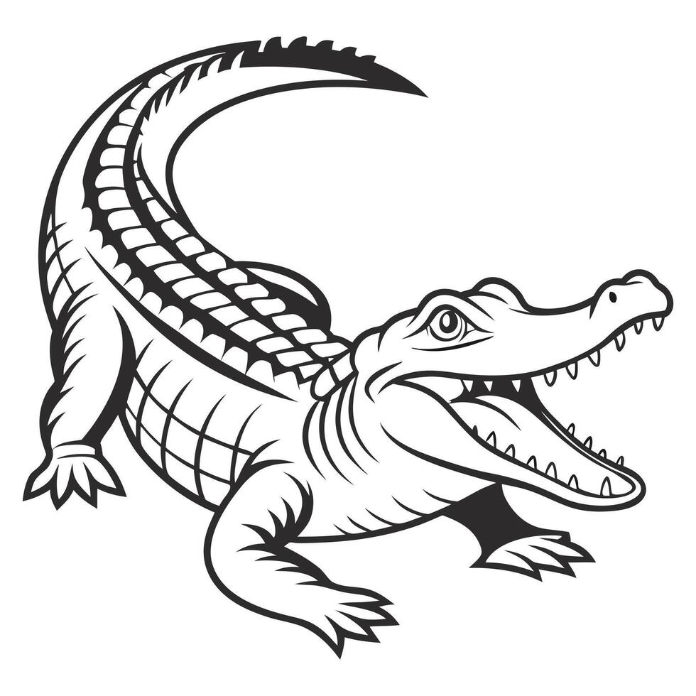 Illustration of Alligator on white background vector