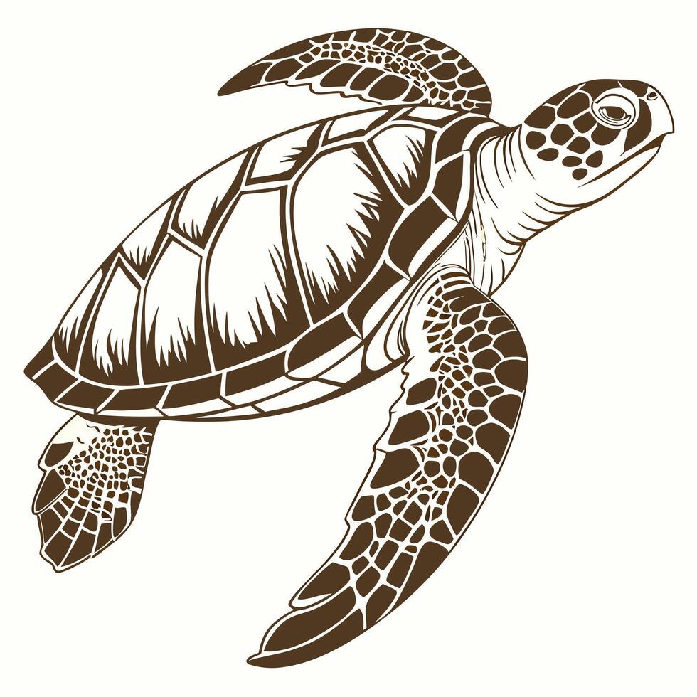 Illustration of turtle on white background vector