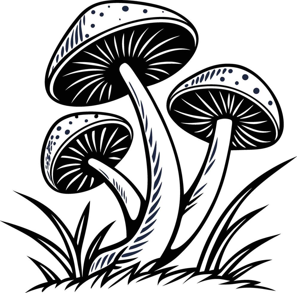 Three Mushrooms Illustration vector