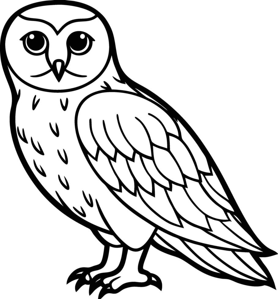 Snowy Owl white background vector