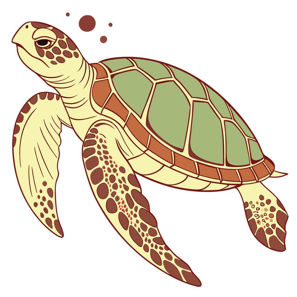 A turtle on white background vector