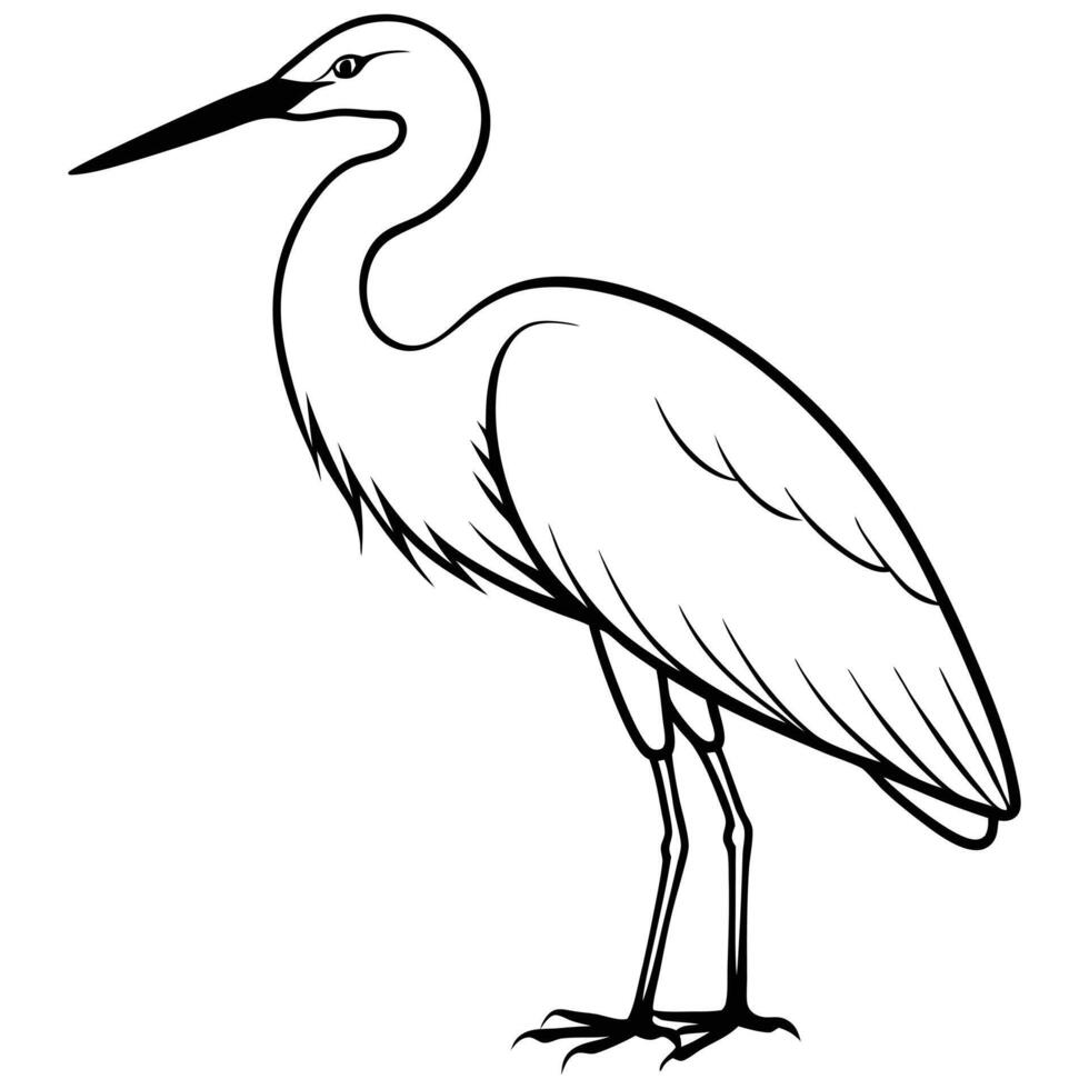 Illustration of Great Egret white background vector