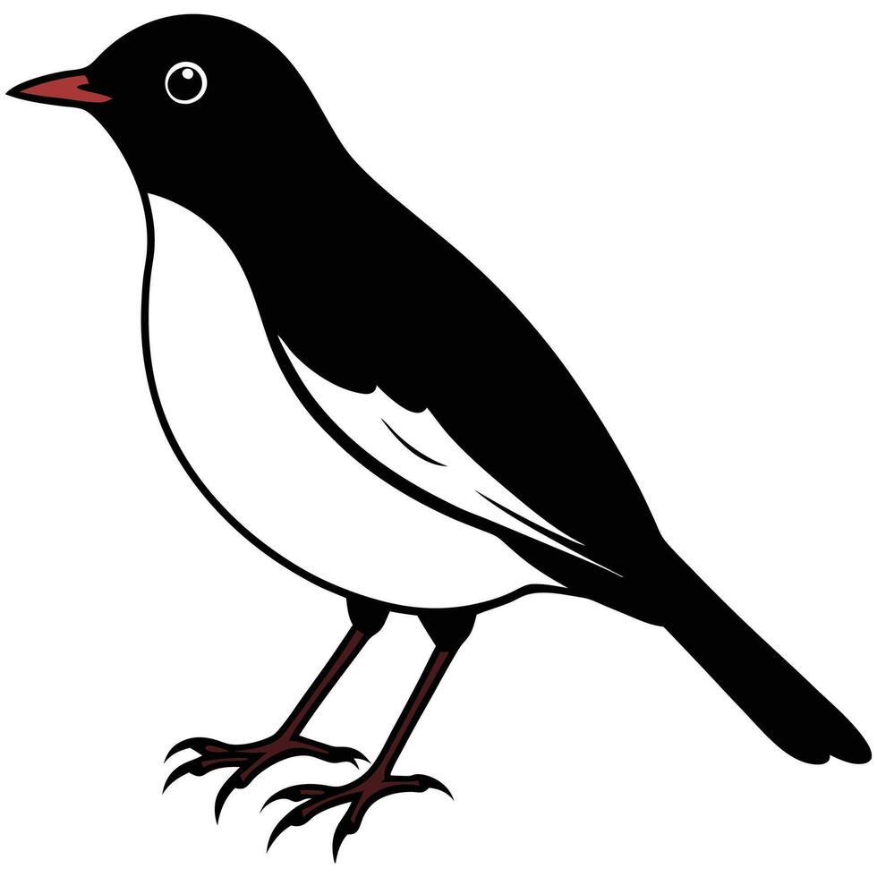 American robin silhouette vector
