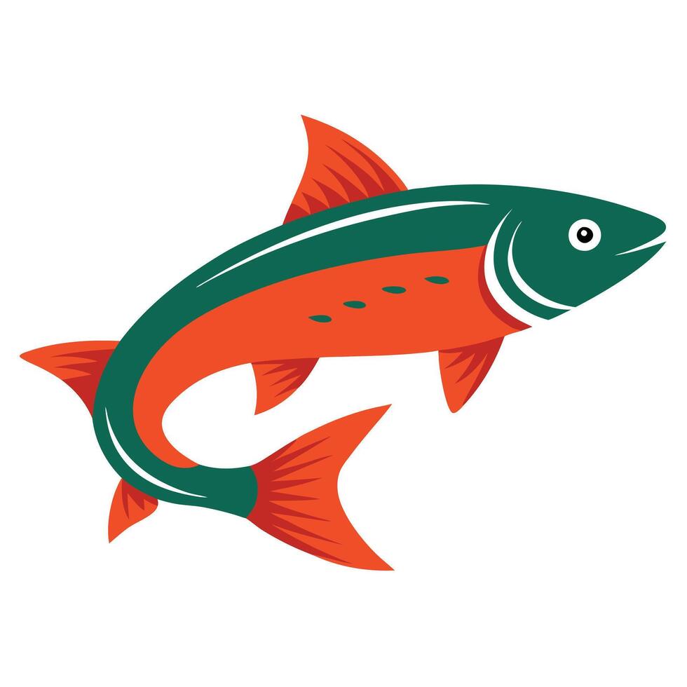 drawing of Trout fish vector