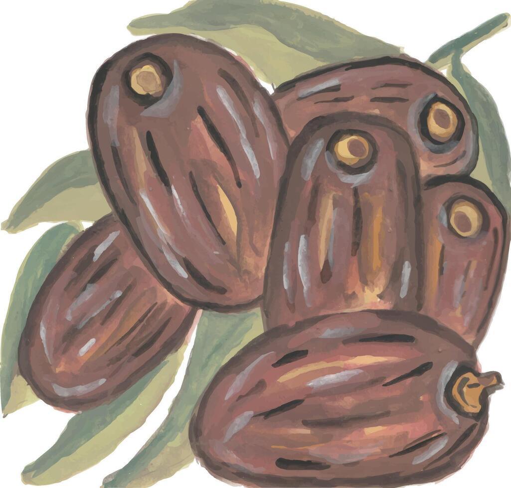 a drawing of a bunch of date fruits vector