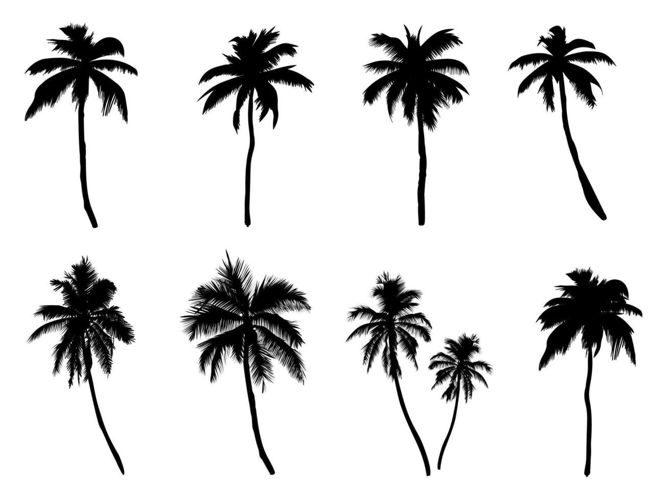 Collection of silhouettes of palm trees. and drawn isolated illustrations. vector