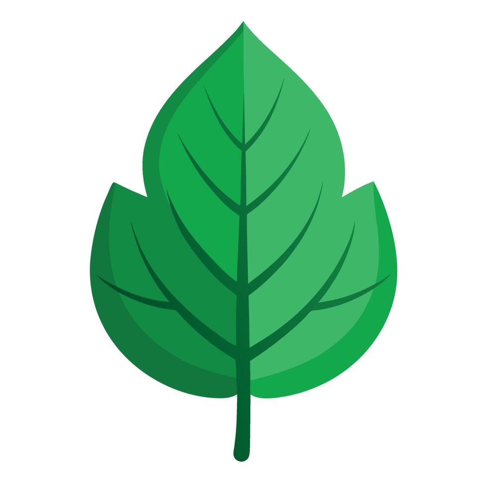 Fresh Green Leaf for Eco and Nature Designs vector