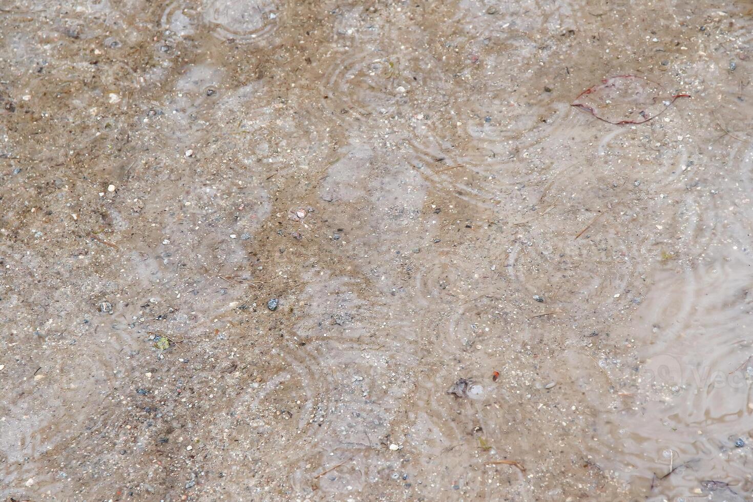 A close up of a wet surface with water droplets photo
