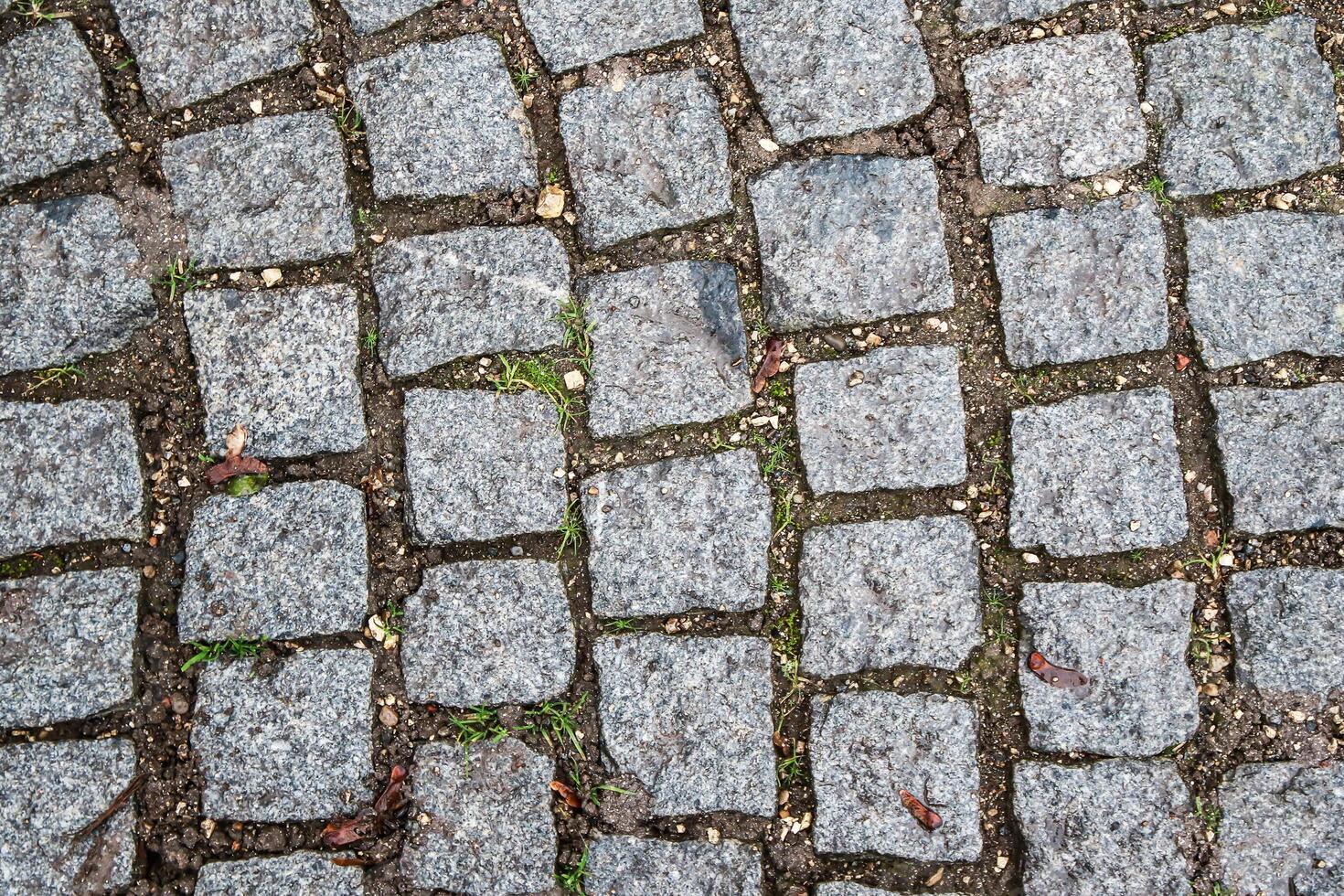 A cobblestone path with grass and stones photo