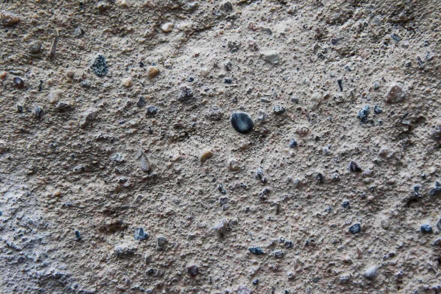 A close up of a small rock on the ground photo