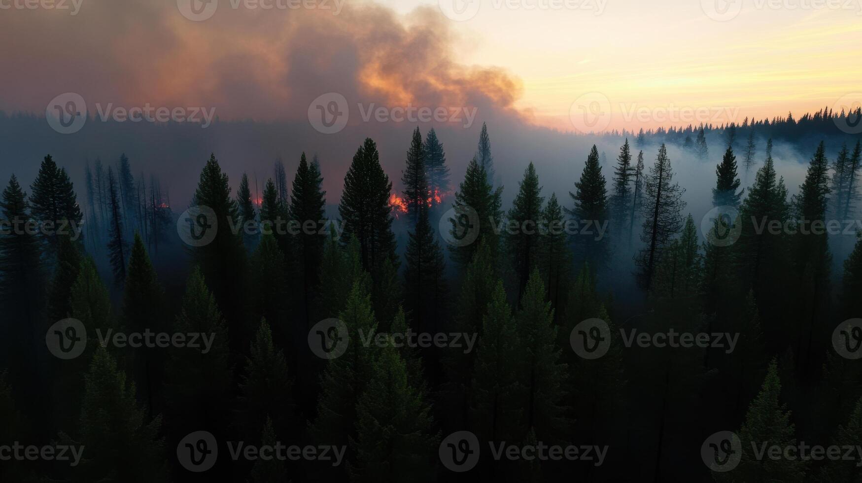dense forest engulfed in smoke from massive wildfire at sunset photo