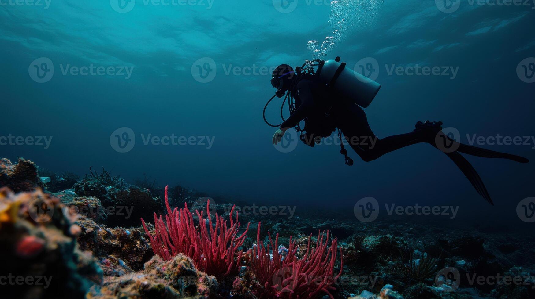 Diver exploring vibrant coral reef underwater, showcasing marine life photo