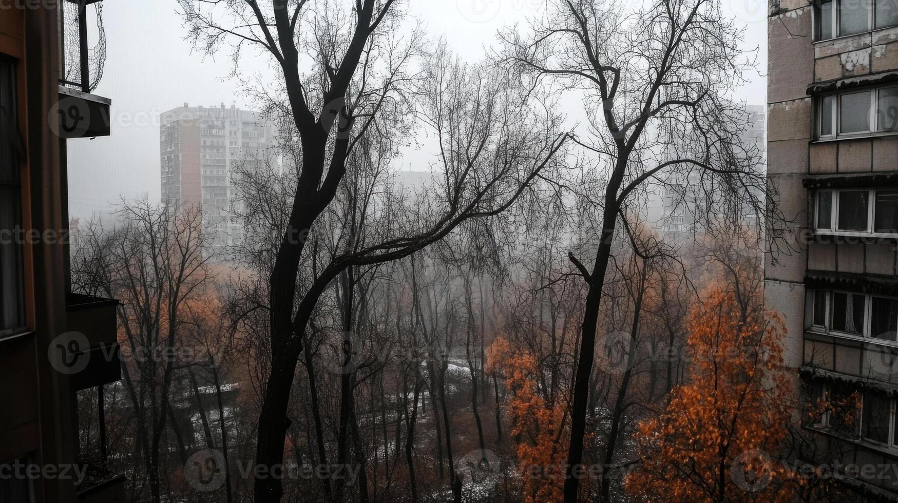 foggy urban landscape with bare trees and autumn leaves photo