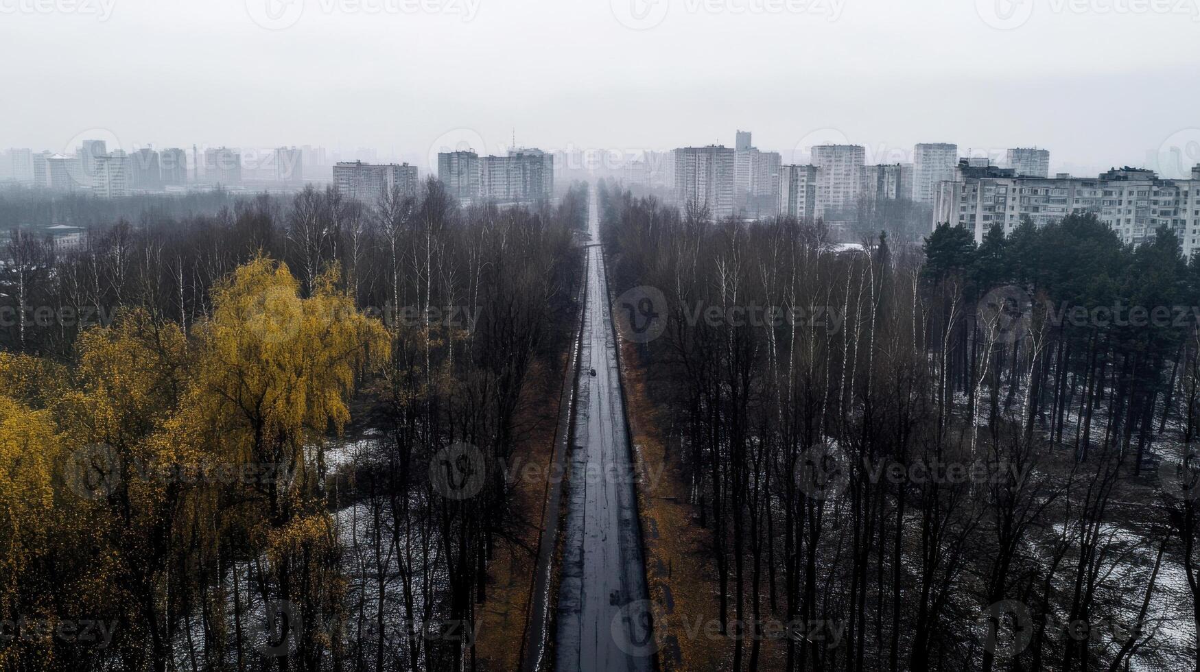 foggy cityscape with road lined by trees and buildings in distance photo