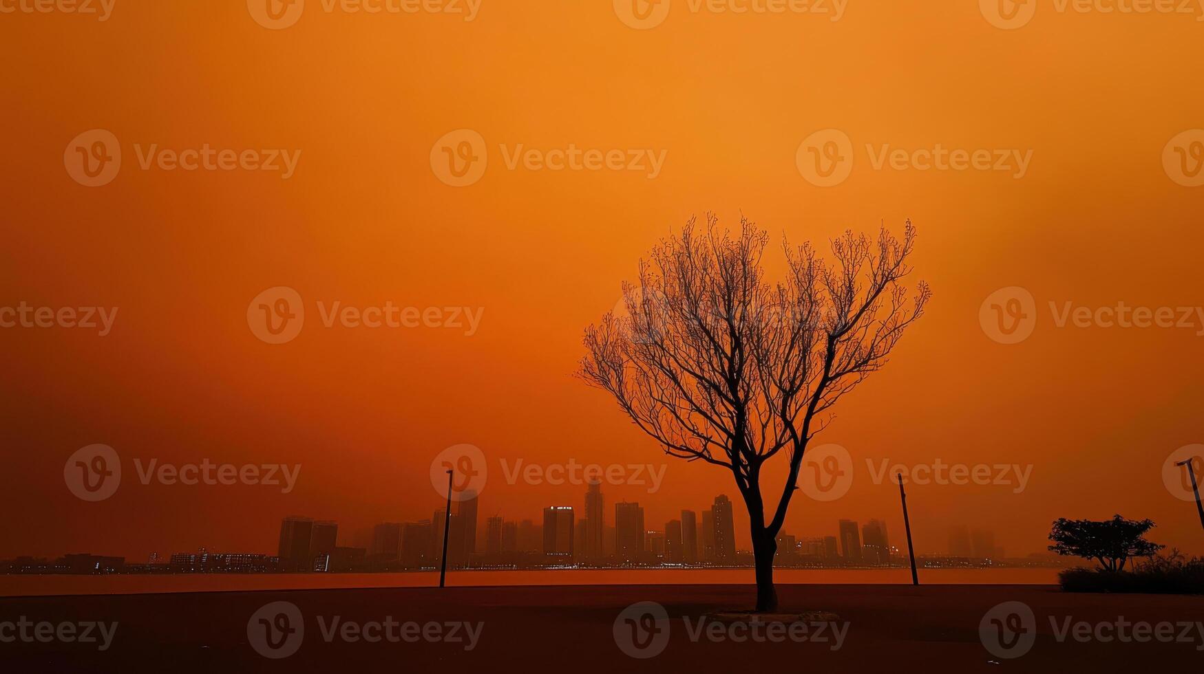 solitary tree silhouetted against orange sky over city skyline photo