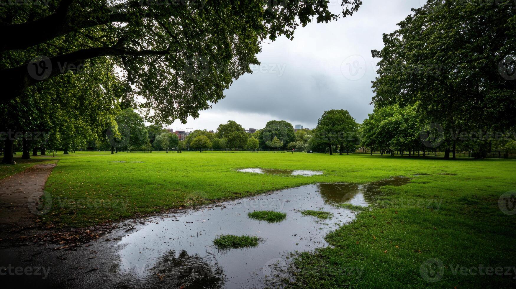 A park with a puddle in the middle of it photo