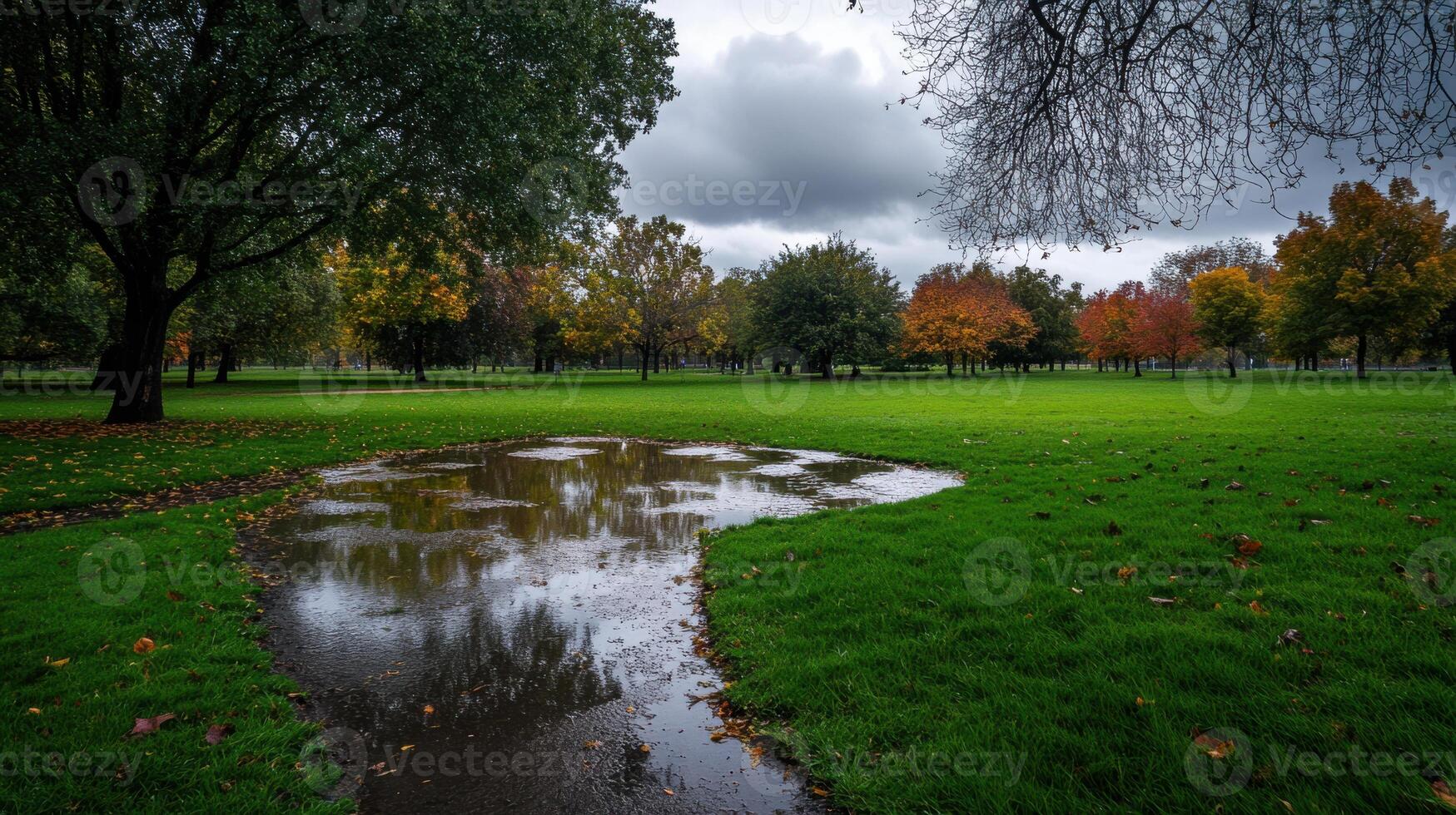green park with puddles on ground after rain, showcasing autumn colors photo