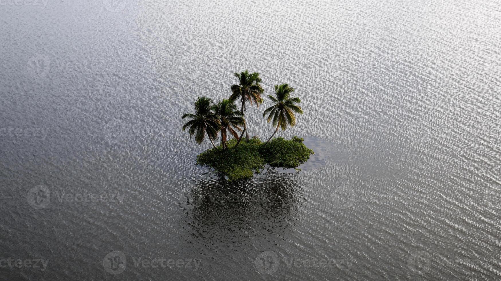 small island with palm trees surrounded by water photo
