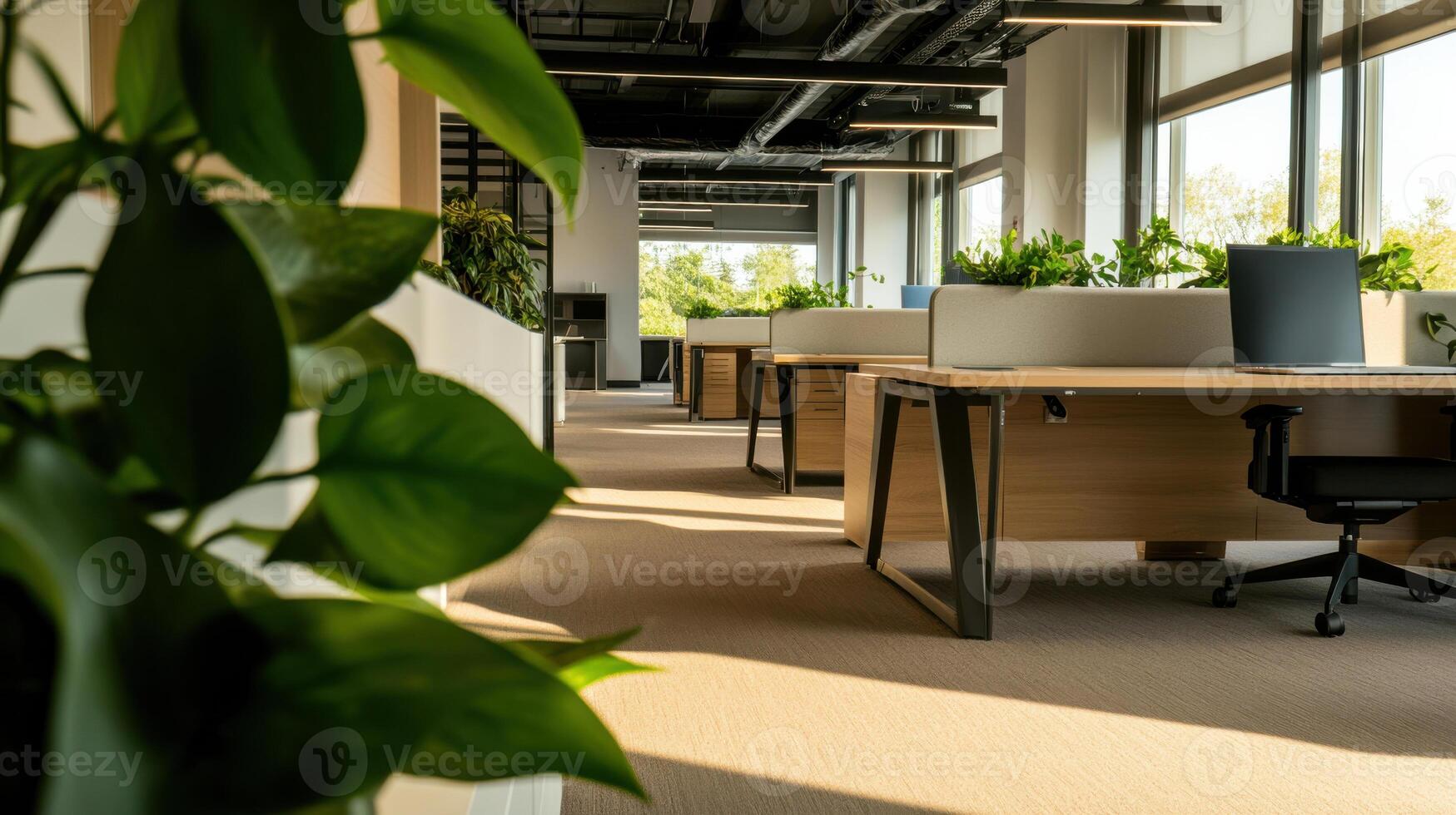 An office with desks and plants photo