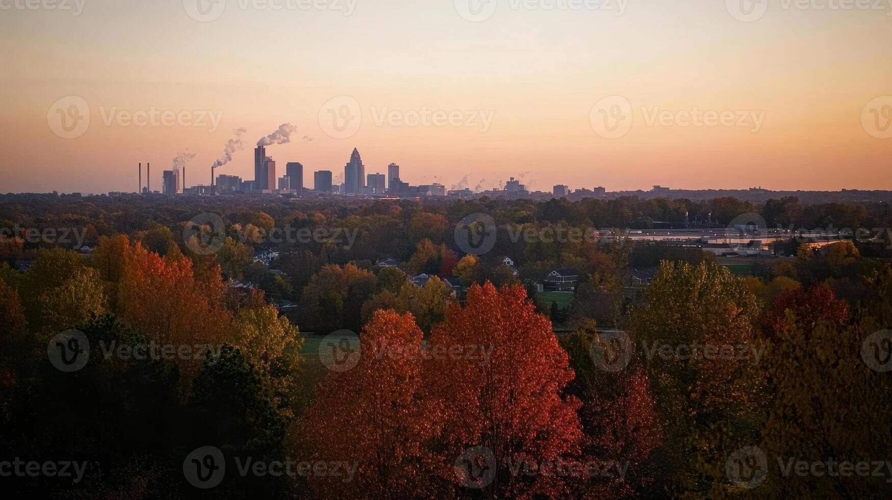 A view of the city skyline from a hillside photo