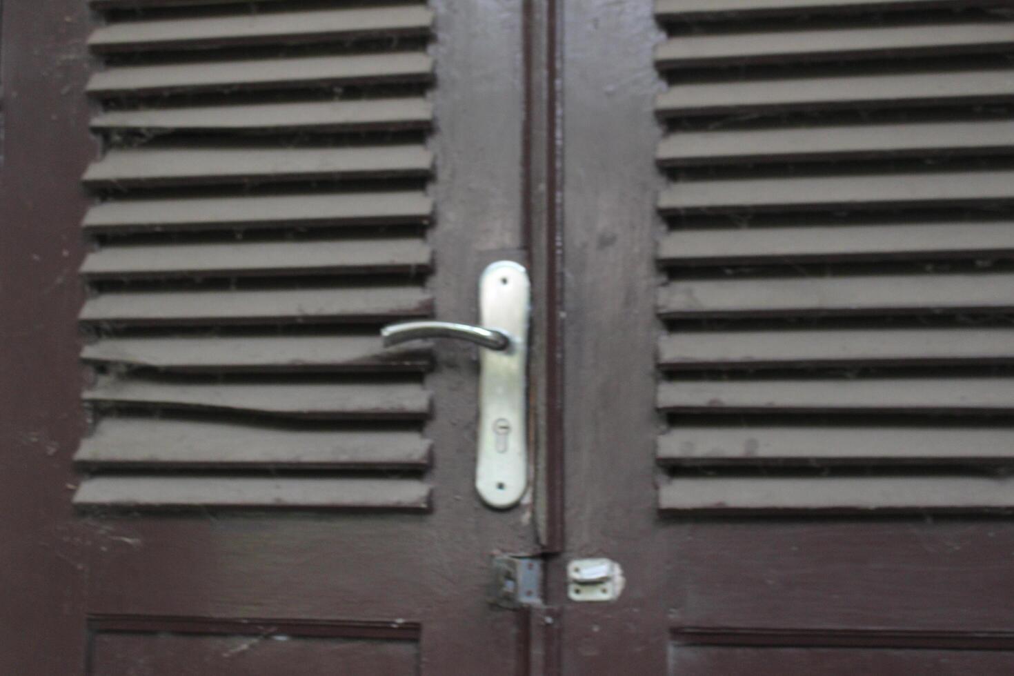 A cat sitting on a door photo