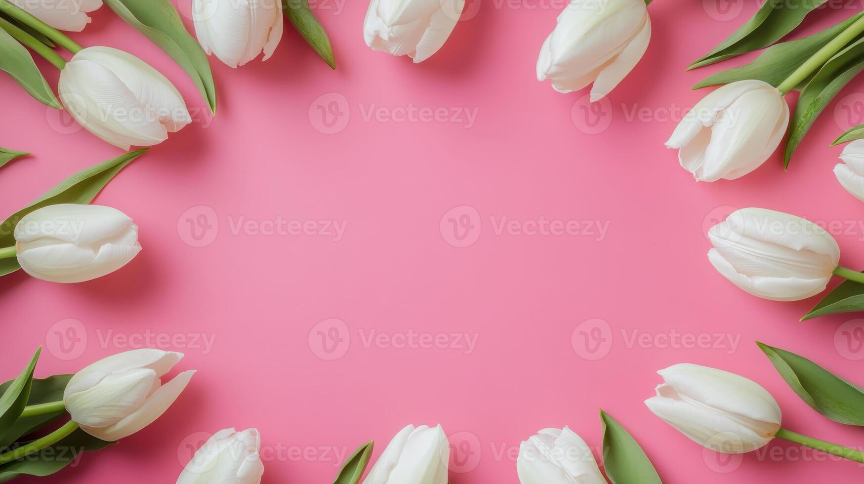 White tulips arranged in a circular pattern on a pink background create a cheerful and elegant atmosphere for spring celebrations or special occasions photo