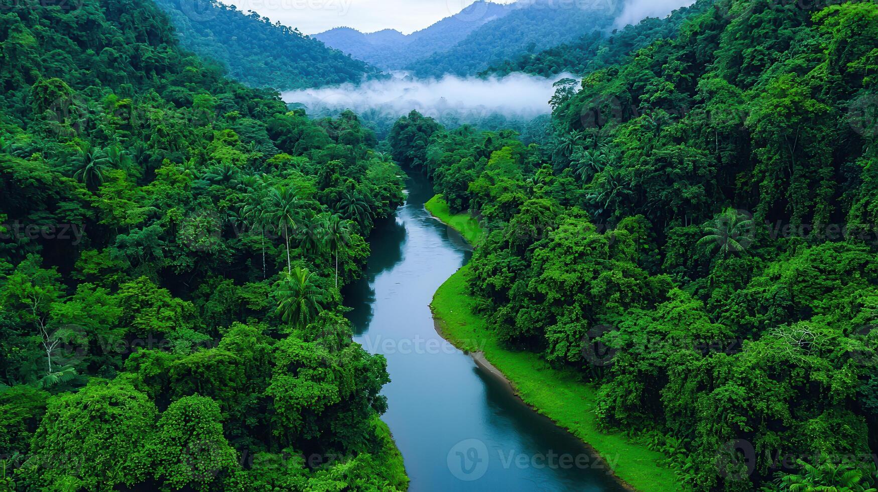 Serene River Winding Through Lush Tropical Rainforest Landscape Aerial View of Tranquil Nature Scene photo