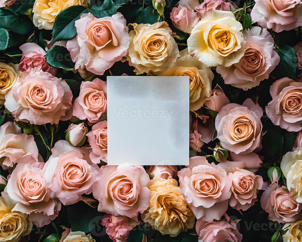Blank Card on a Background of Pink and Peach Roses photo