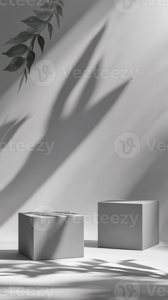 Two Grey Cubes and Leaf Shadow on White Background photo