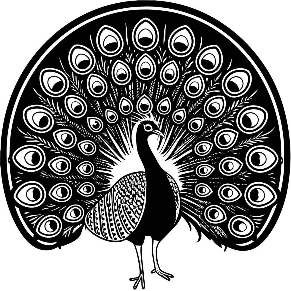 A sketch of a peacock. illustration convert to. black outline on transparent background vector