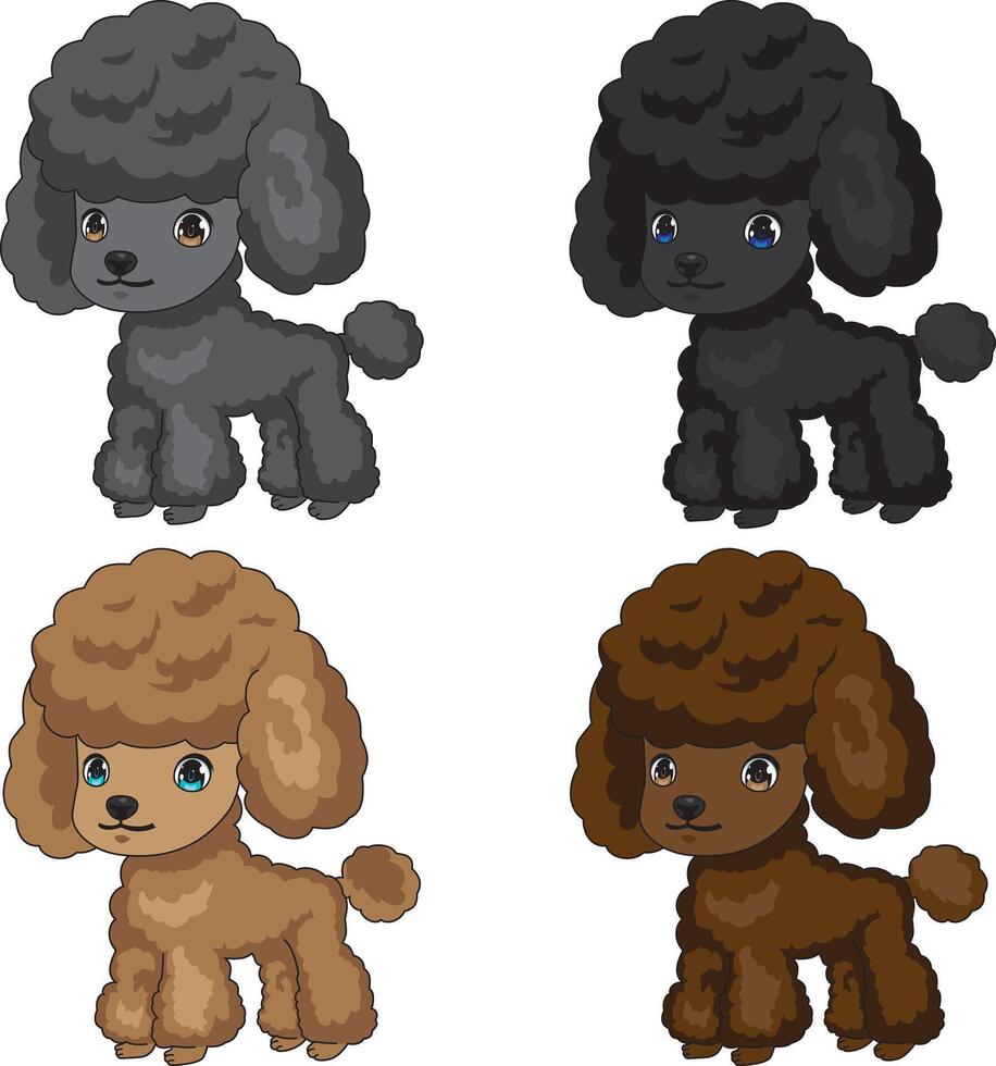 Cute Poodle Dog With Four Colors vector