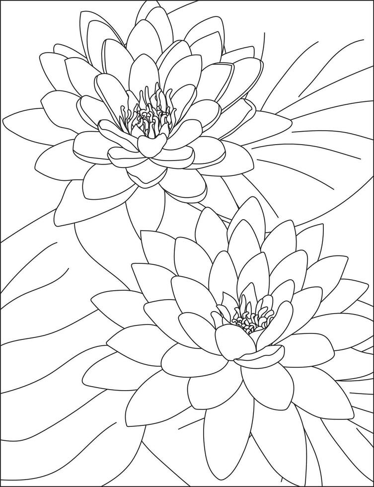 Lotus Coloring Page Flower Line Art vector
