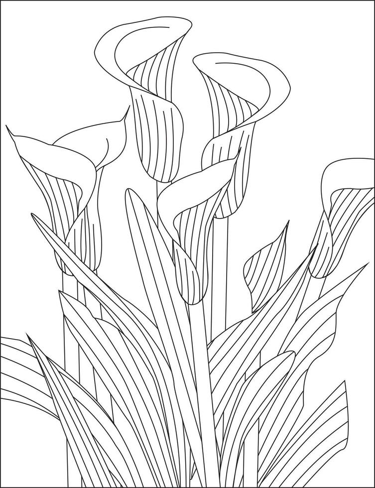 Calla Lily Flower Outline Coloring Page vector