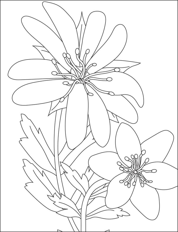 Simple Flower Coloring Page For Adults vector