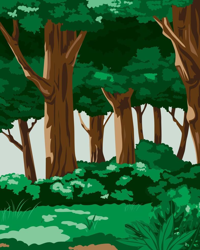 Forest Background Green Nature Trees And Grass Illustration vector