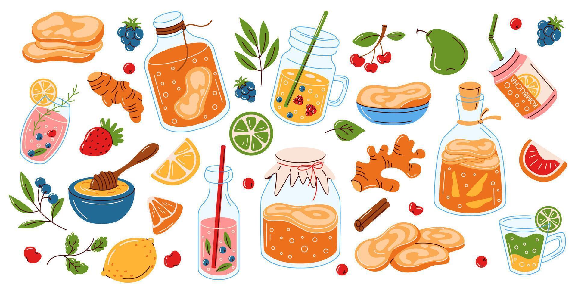 Illustration featuring a variety of kombucha drinks, ingredients like ginger, honey, citrus, and berries. A vibrant depiction of healthy probiotic beverages. vector