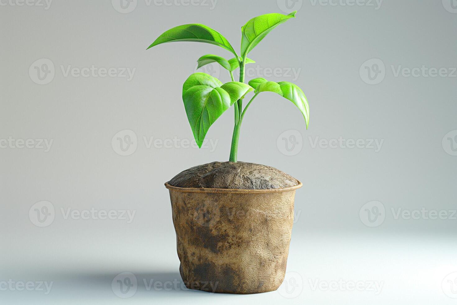 A vibrant green plant emerging from a textured, earthy pot against a soft gray background, symbolizing growth and renewal. photo