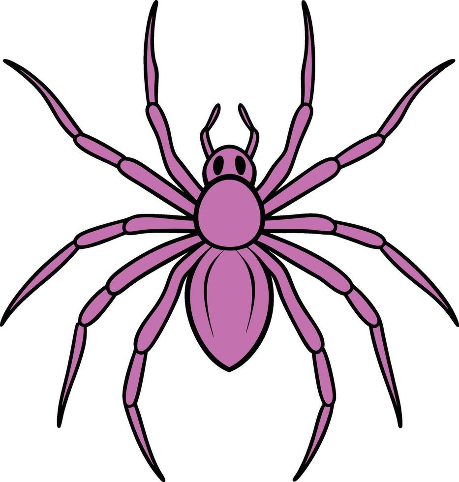 a spider with purple legs and a black body vector