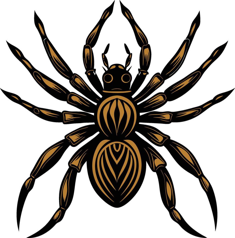 a spider with brown and black stripes on its body vector