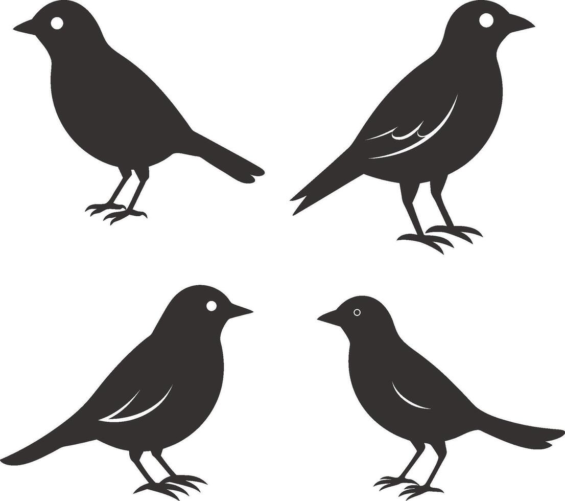 four black birds on a white background vector