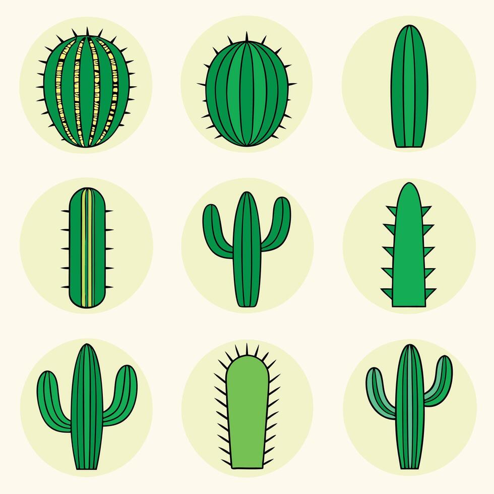 cactus plants in different shapes and sizes vector