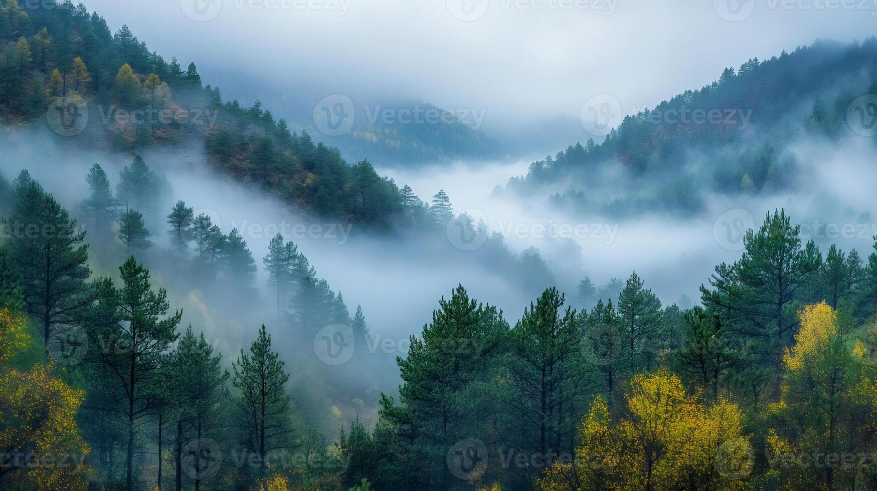 Fog rolling over a misty valley filled with pine trees during autumn photo