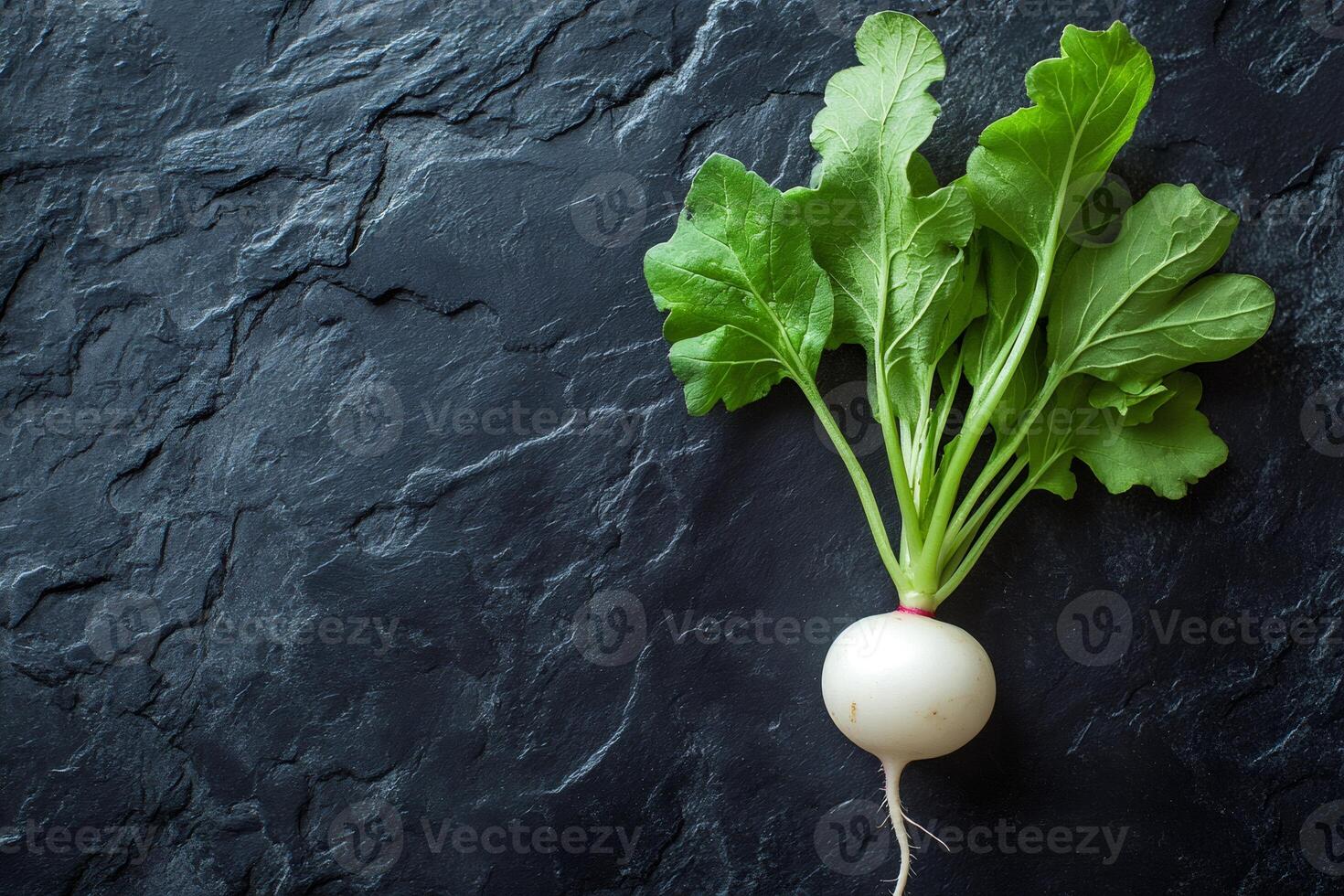Fresh white radish with leaves lying on dark slate background photo