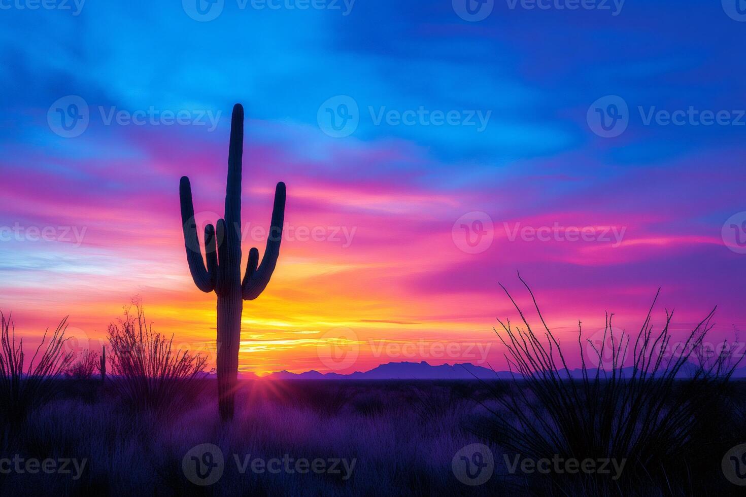 Saguaro cactus silhouette at vibrant sunset in Arizona desert photo