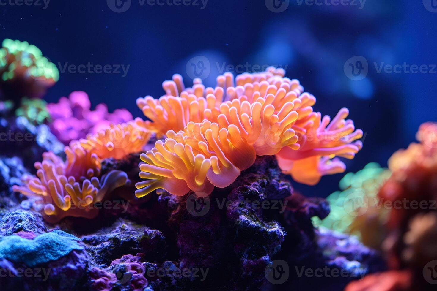 Vibrant coral polyps thriving on a colorful reef in a dark blue sea photo