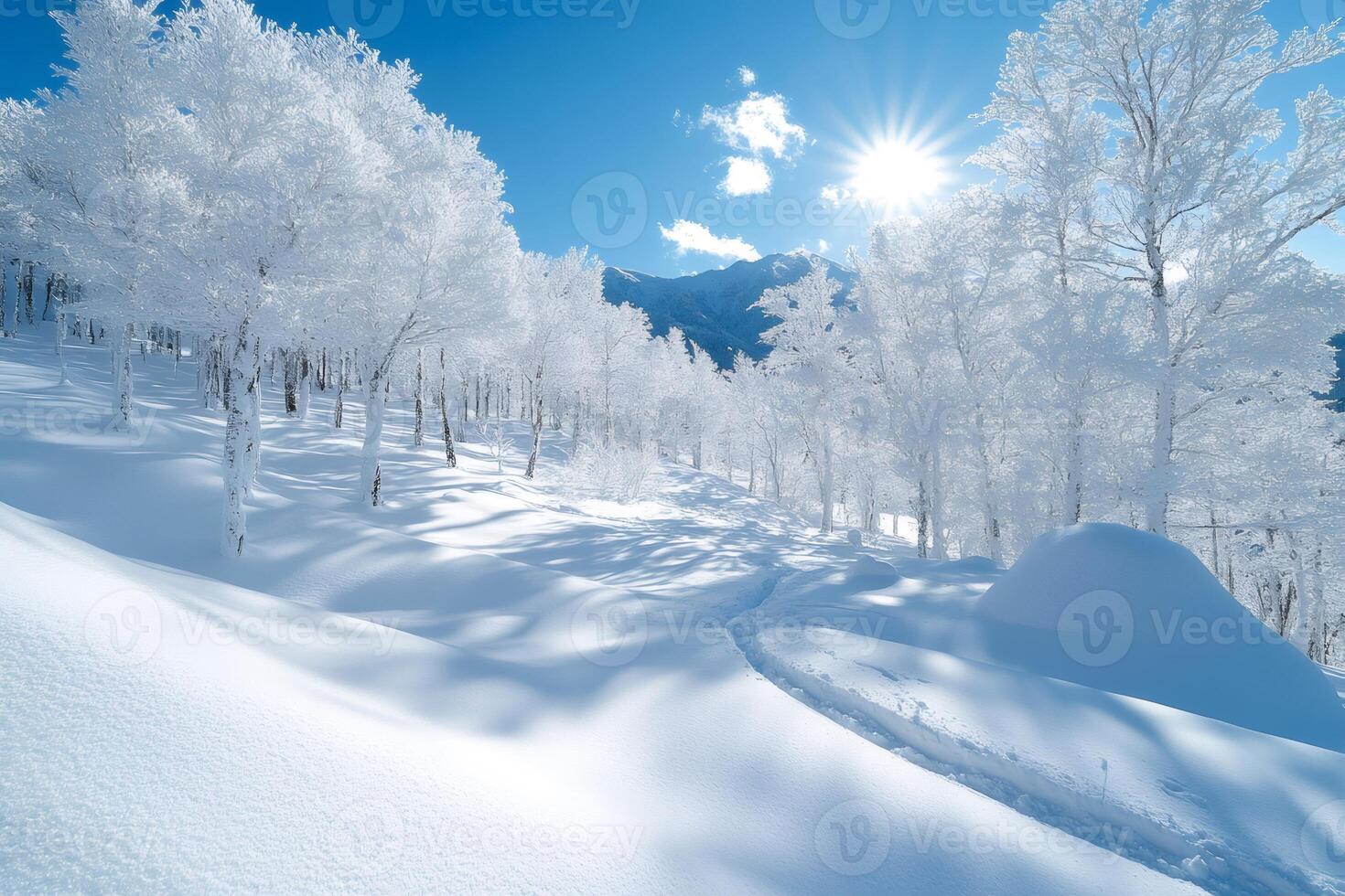 Sun shining over snowy trees and ski tracks in a winter forest landscape photo