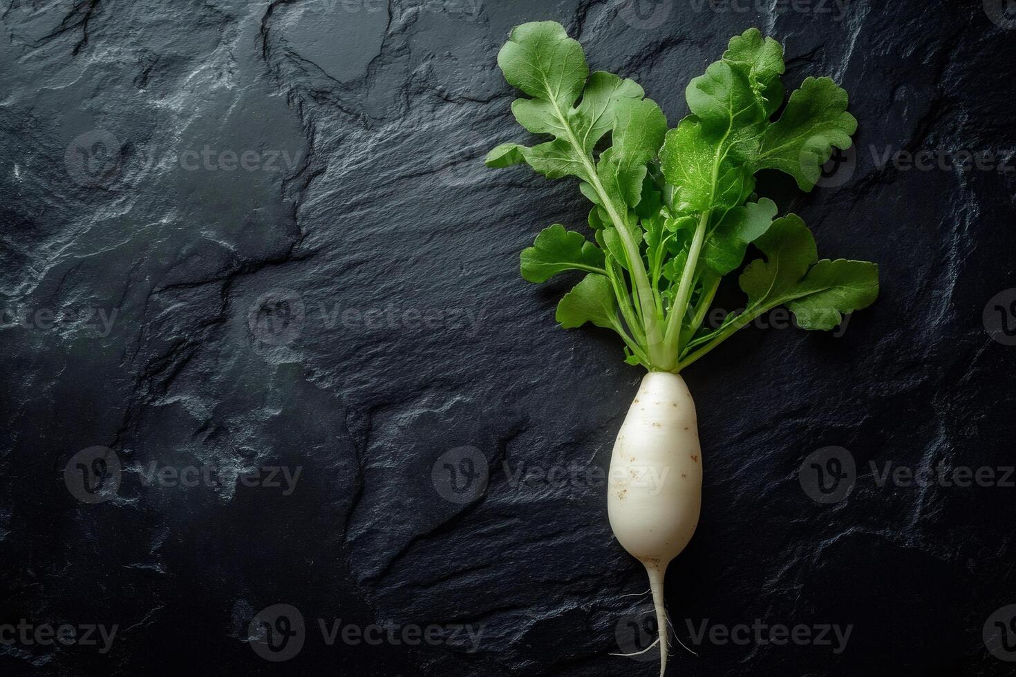 Fresh white radish with green leaves lying on dark slate photo
