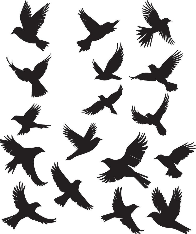 Set of birds flying silhuette vector